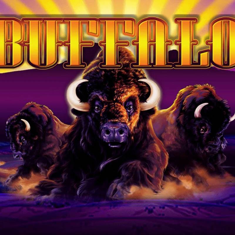 Buffalo Slot 3